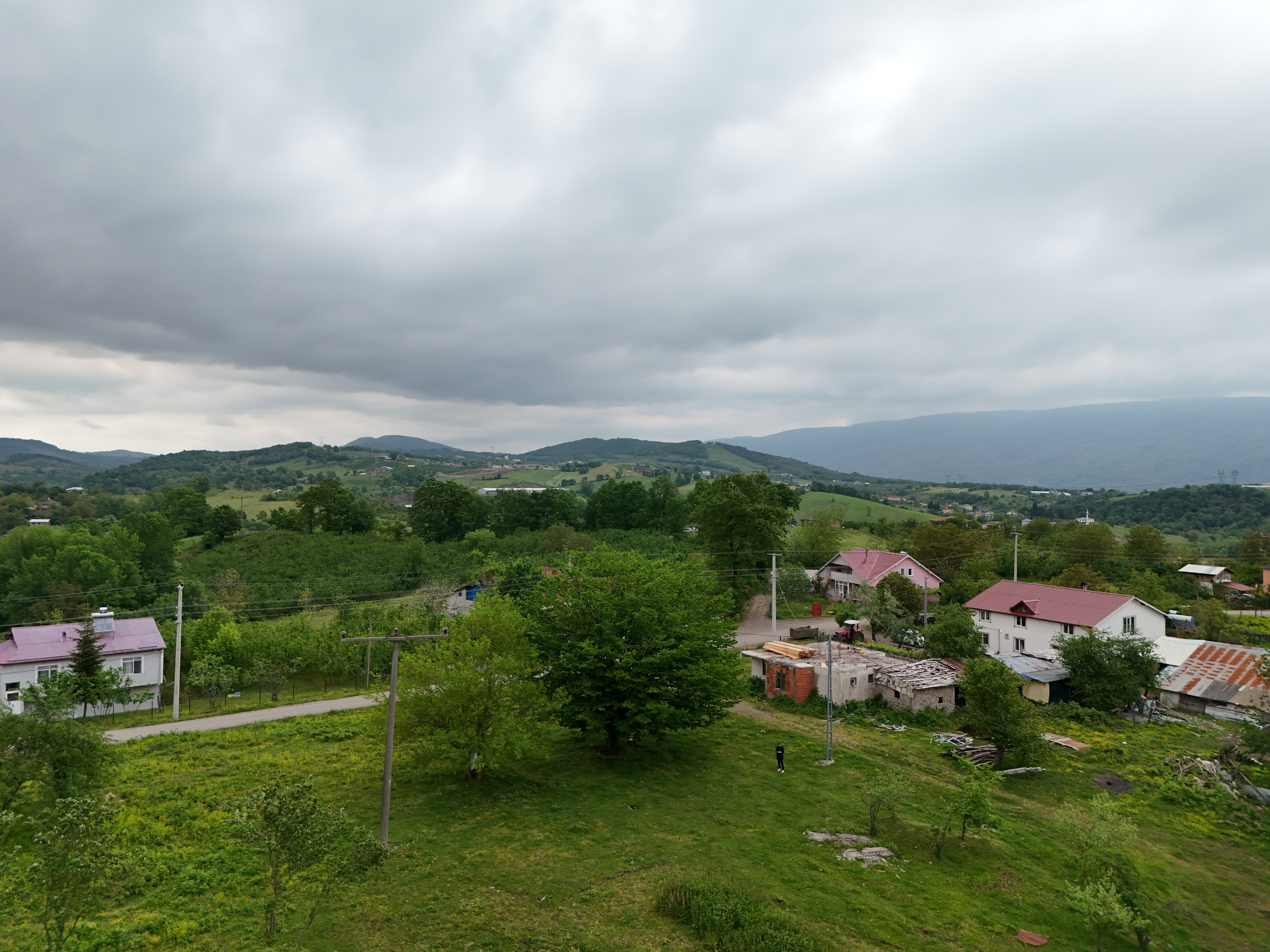 Galeri